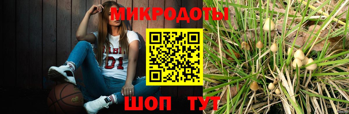 Кольчугино  Псилоцибиновые грибы мицелий  Галлюциногенные грибы Psilocybine cubensis  Вход с VPN 